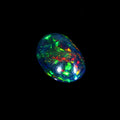 Natural Ethiopian Fire Welo Opal Oval Cabochon Gemstone